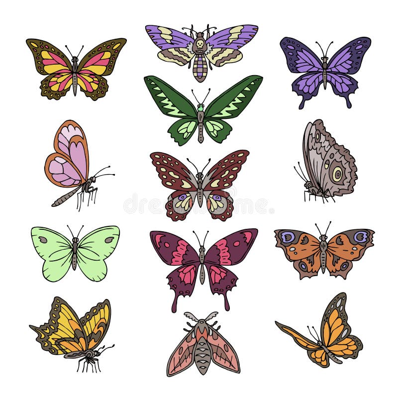 El vuelo colorido del insecto del vector de la mariposa para la decoración y las alas hermosas de las mariposas vuelan la decorac stock de ilustración El vuelo colorido del insecto del vector de la mariposa para la decoración y las alas hermosas de las mariposas vuelan la decorac stock de ilustración