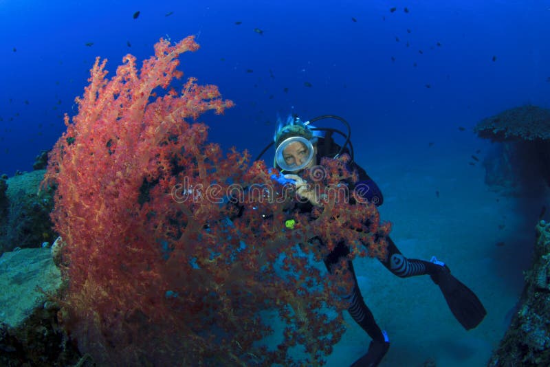 El zambullidor de equipo de submarinismo explora el filón coralino fotografía de archivo libre de regalías El zambullidor de equipo de submarinismo explora el filón coralino fotografía de archivo libre de regalías