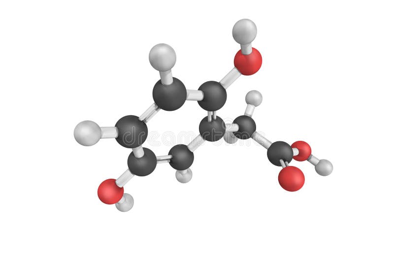 El ácido homogentísico es un ácido fenólico encontrado en el unedo del Arbutus (str