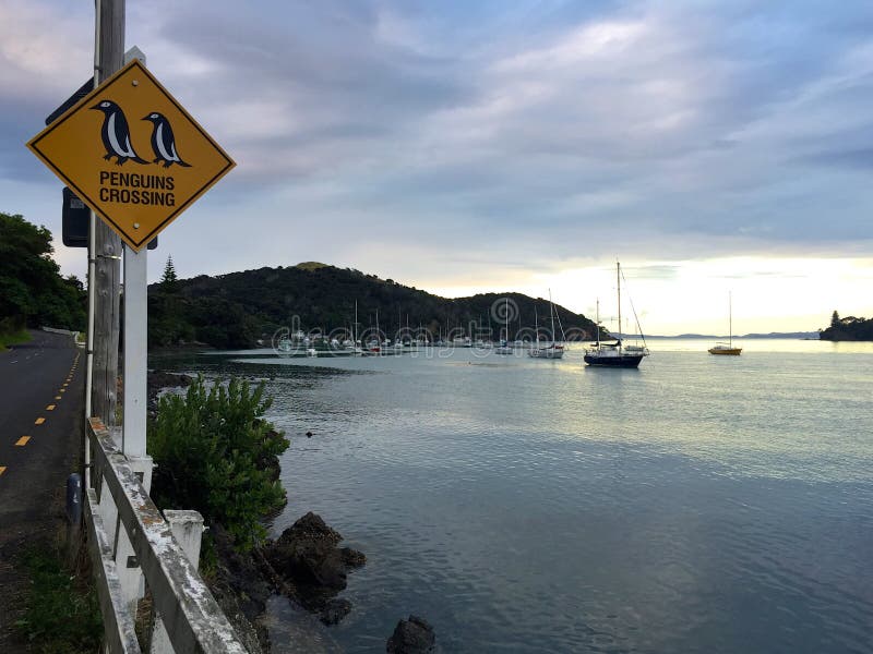 El “cruzar de los pingüinos” y barcos en el puerto, Mangonui, Nueva Zelanda fotos de archivo El “cruzar de los pingüinos” y barcos en el puerto, Mangonui, Nueva Zelanda fotos de archivo