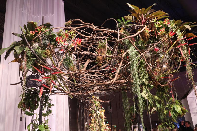 An elaborate floral installation features intertwining branches and lush greenery, showcasing vibrant flowers and diverse plant species at the Philadelphia Flower Show in spring.