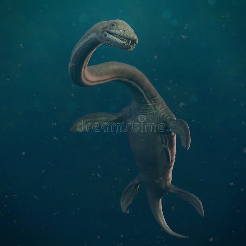 Plesiossauro Plesiosauria Desenho Realista Animais Extintos Dos