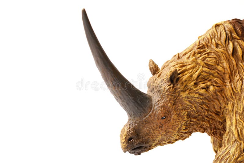 Elasmotherium isolated on white background