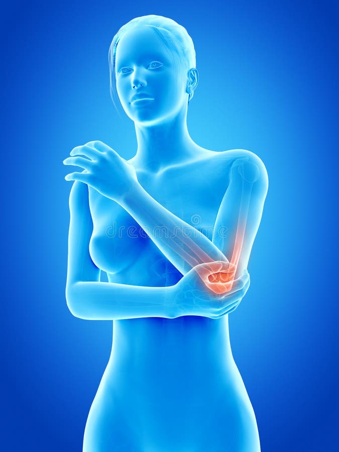 The elbow joint vector illustration