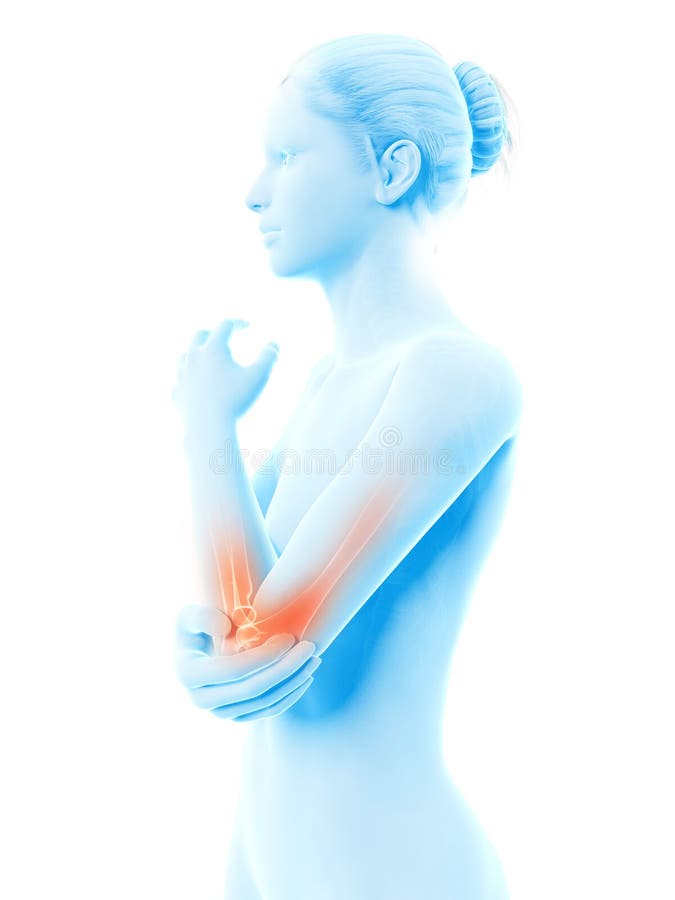 The elbow joint royalty free illustration