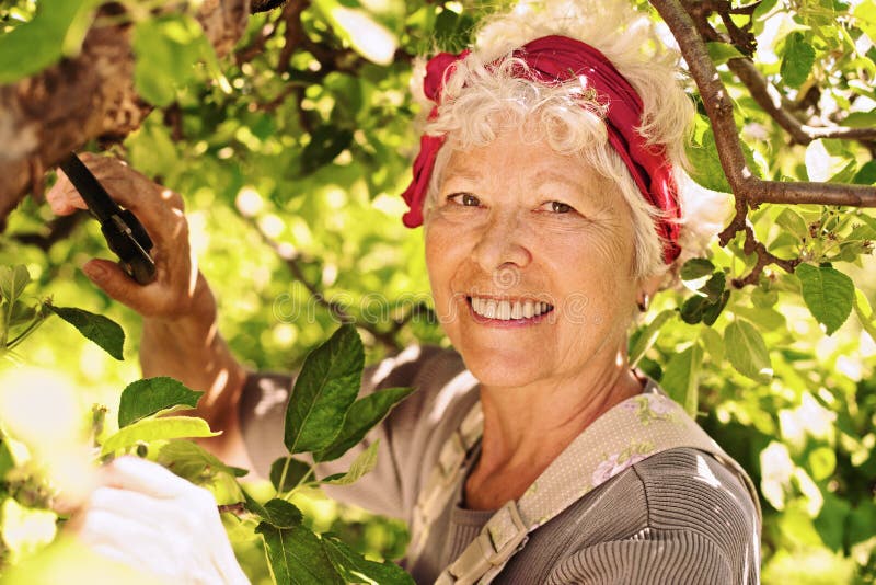 Elder woman working in her farm smiling royalty free stock photo Elder woman working in her farm smiling royalty free stock photo
