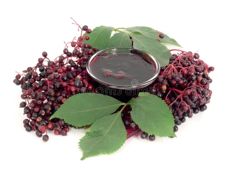 Elderberry jelly stock image. Image of collect, black 16214715