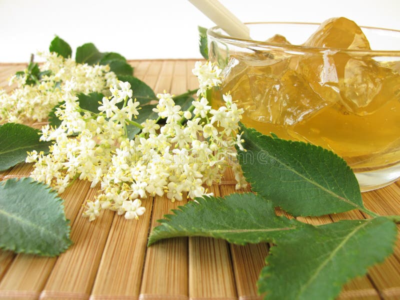 Elderflower jam stock image. Image of jelly, flavoured 24894067