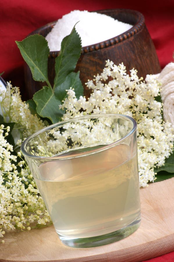 Elderflower Juice in a Glass Stock Photo Image of refreshment, juice
