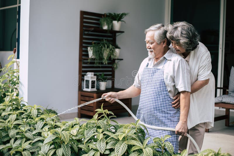 Elderly Couple Watering a Flower in Garden Stock Image - Image of male ...