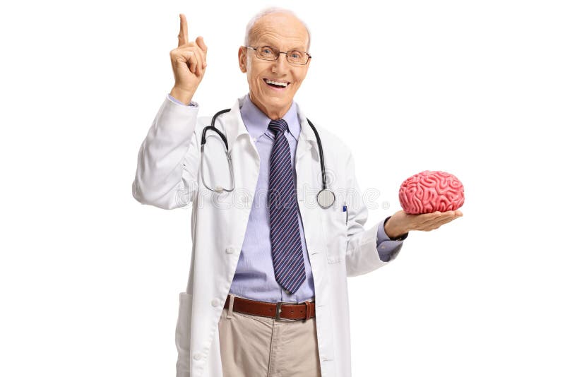 Elderly doctor pointing up with his finger and holding a brain model isolated on white background. Elderly doctor pointing up with his finger and holding a brain model isolated on white background