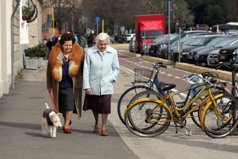 Elderly with dog stock photos Elderly with dog stock photos