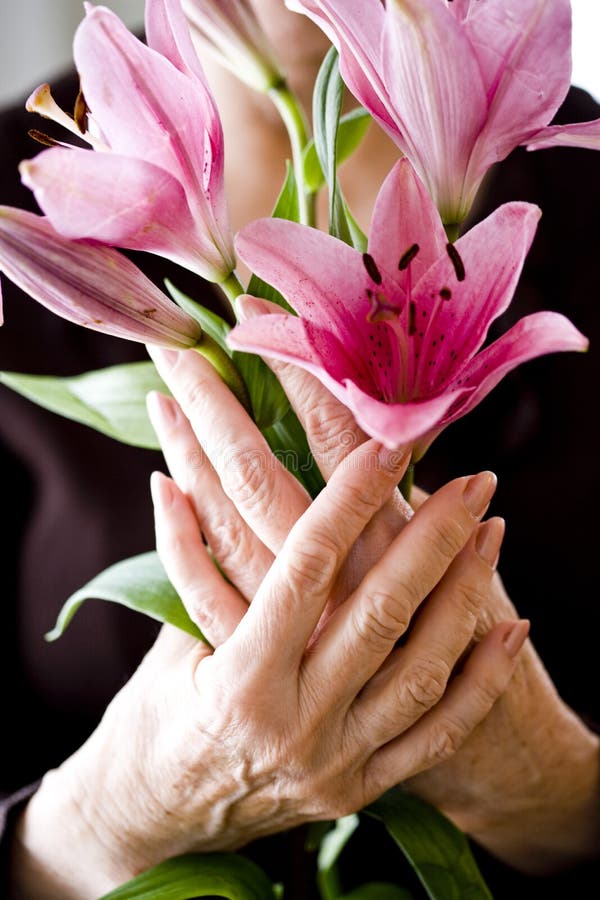 Elderly hands holding pink flowers