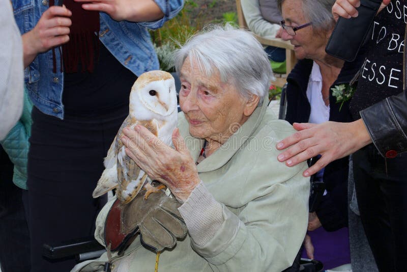 Elderly demented lady holds a wild young barn owl with tenderness during a birds of prey show in the Netherlands. Elderly demented lady holds a wild young barn owl with tenderness during a birds of prey show in the Netherlands