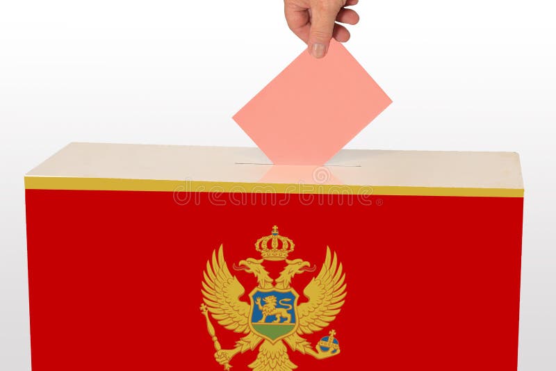 Elección parlamentaria de montenegrin