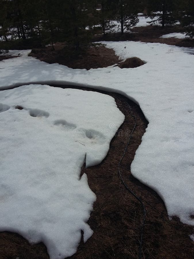 The Electric Cable Melted the Snow Near Him on the Ground Stock Image