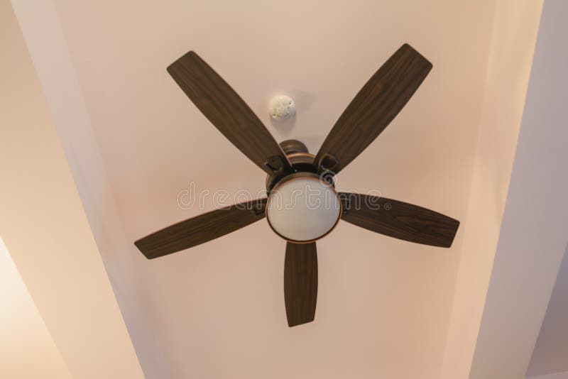 Electric ceiling fan stock photo. Image of hotel, decorating 156243468