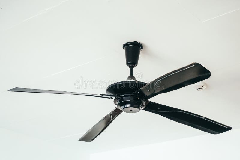 Electric ceilling fan decoration interior