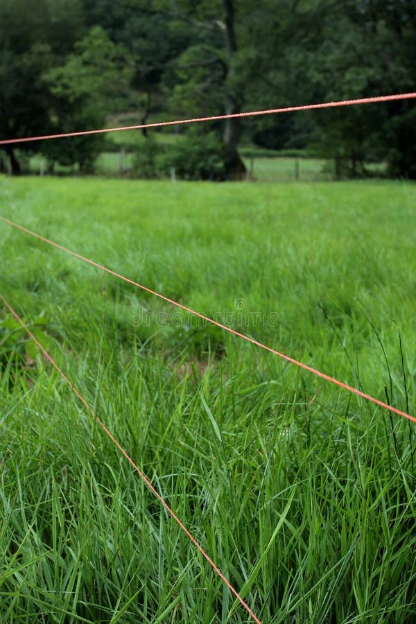 Digger Hotline Flag Buried Electrical Power Line Stock Photo Image of