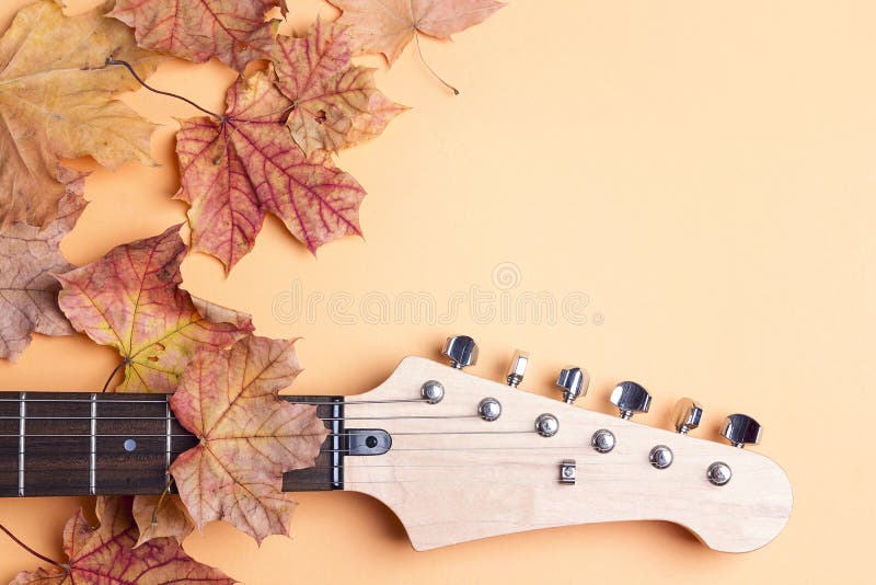 Electric guitar neck with autumn maple leaves and copy space on