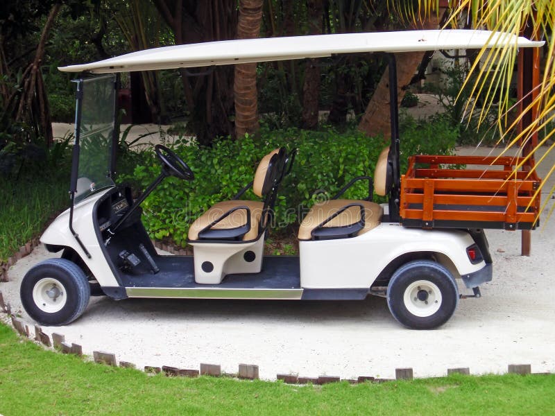 Pink Ladies Golf Cart stock photo. Image of wealthy, golfer 4525962
