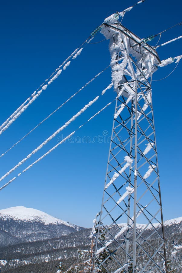 Electric Pole Pine Tree Snow Stock Image Image of foreground, power
