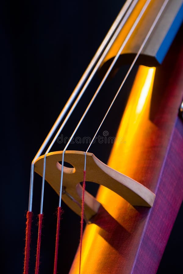 Upright bass stock image. Image of side, musician, neck 19062949