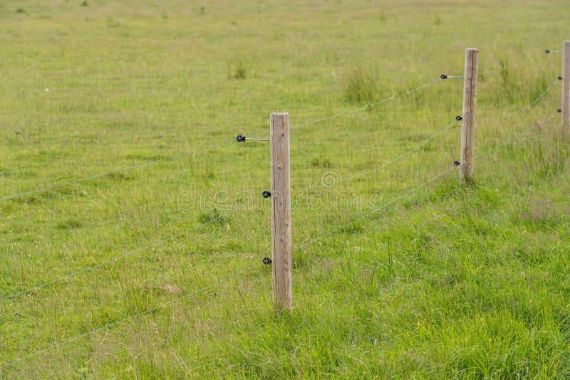 Electrical Fence and Post in a Field.. Stock Image Image of electric