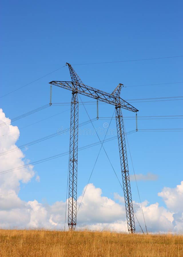 The electrical grid near field