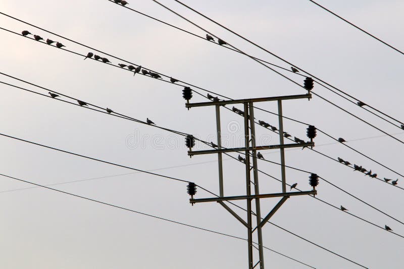 Power line wire stock photo. Image of wind, industry 132016042