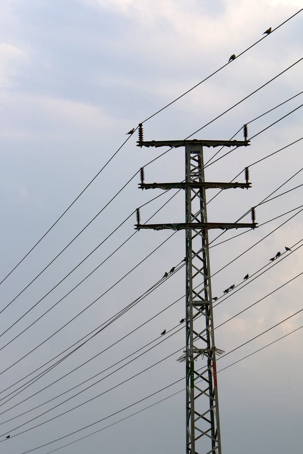 Power line wire stock photo. Image of power, electric 132016126