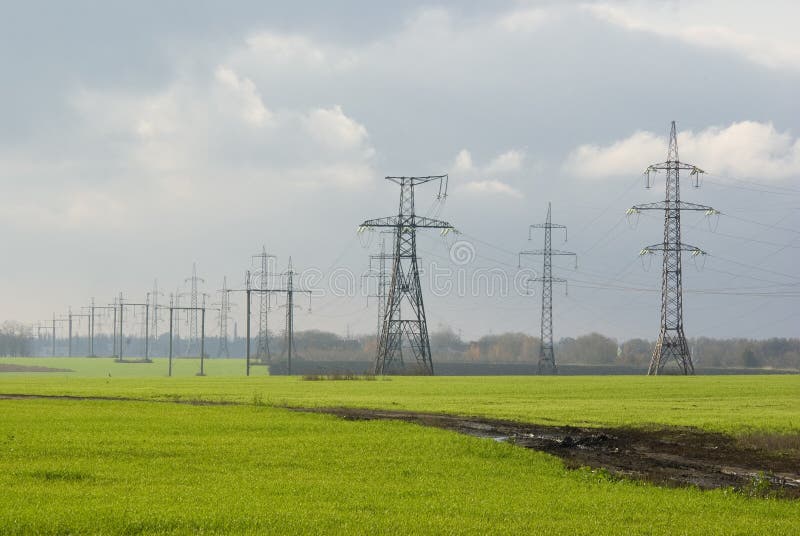 Electric poles on an winter-crops field. Electric poles on an winter-crops field
