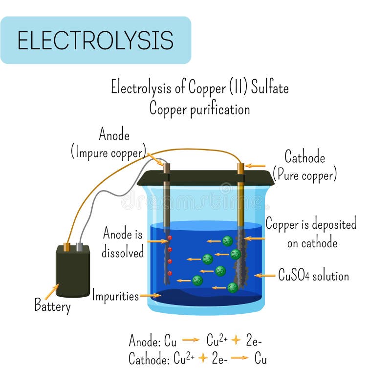 Electrolysis of copper sulfate solution with impure copper anode and pure copper cathode. Copper purification technology. Educational electrochemistry for kids. Vector illustration