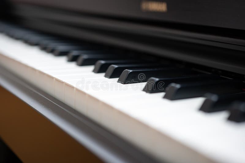 Electronic or Acoustic Piano Keys, No People Stock Image Image of