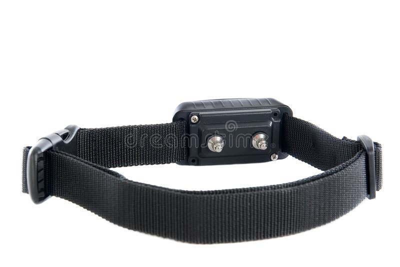 home depot dog training collar