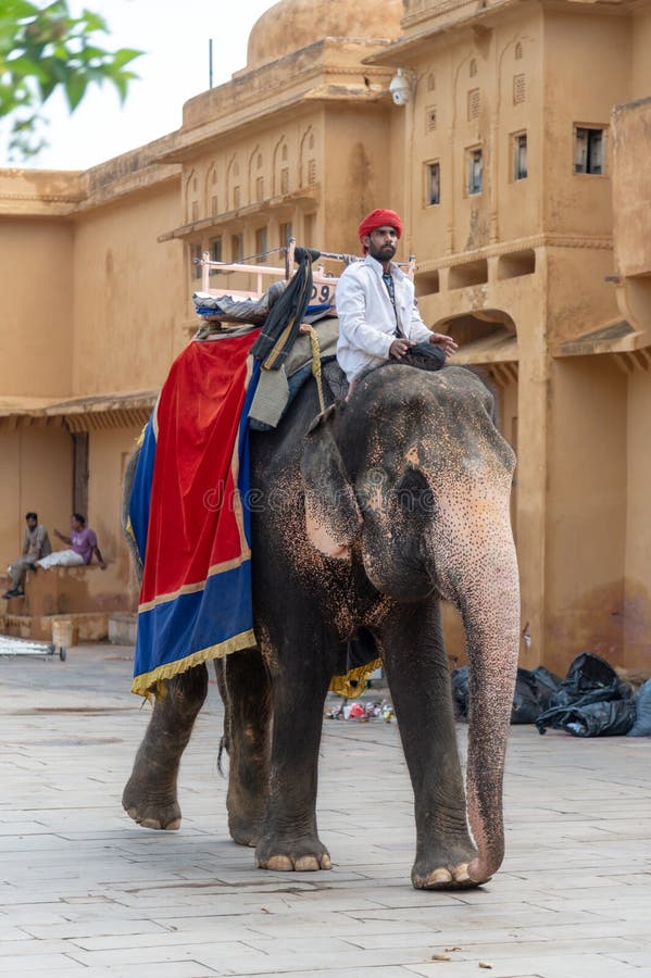 Elephant in the main courtyard in the Amber, Fort Amer , Rajasthan, India. A narrow 4WD road leads up to the entrance gate, known as the Suraj Pol (Sun Gate) of the fort. It is now considered much more ethical for tourists to take jeep rides up to the fort, instead of riding the elephants. Amer Fort or Amber Fort is a fort located in Amer, Rajasthan, India. Amer is a town with an area of 4 square kilometres (1.5 sq mi) located 11 kilometres (6.8 mi) from Jaipur, the capital of Rajasthan. Located high on a hill, it is the principal tourist attraction in Jaipur. Amer Fort is known for its artistic style elements. With its large ramparts and series of gates and cobbled paths, the fort overlooks Maota Lake which is the main source of water for the Amer Palace. Elephant in the main courtyard in the Amber, Fort Amer , Rajasthan, India. A narrow 4WD road leads up to the entrance gate, known as the Suraj Pol (Sun Gate) of the fort. It is now considered much more ethical for tourists to take jeep rides up to the fort, instead of riding the elephants. Amer Fort or Amber Fort is a fort located in Amer, Rajasthan, India. Amer is a town with an area of 4 square kilometres (1.5 sq mi) located 11 kilometres (6.8 mi) from Jaipur, the capital of Rajasthan. Located high on a hill, it is the principal tourist attraction in Jaipur. Amer Fort is known for its artistic style elements. With its large ramparts and series of gates and cobbled paths, the fort overlooks Maota Lake which is the main source of water for the Amer Palace.