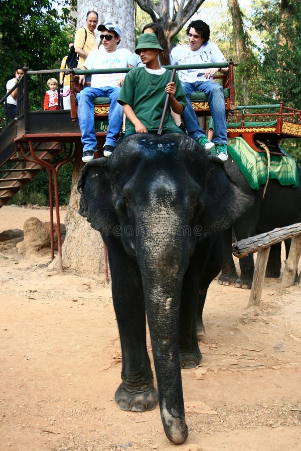 Elefant-Trekking, Kambodscha stockfotografie Elefant-Trekking, Kambodscha stockfotografie