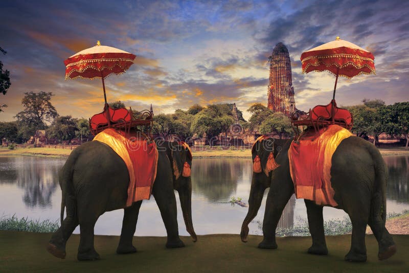 Elefantdressing med thai standi för kungariketraditionstillbehör