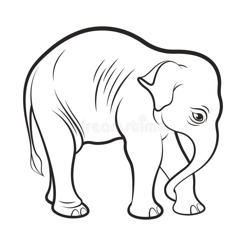 Elefante Aislado Del Bebe En Esquema Negro Ilustracion Del Vector Ilustracion De Bosquejo Historieta
