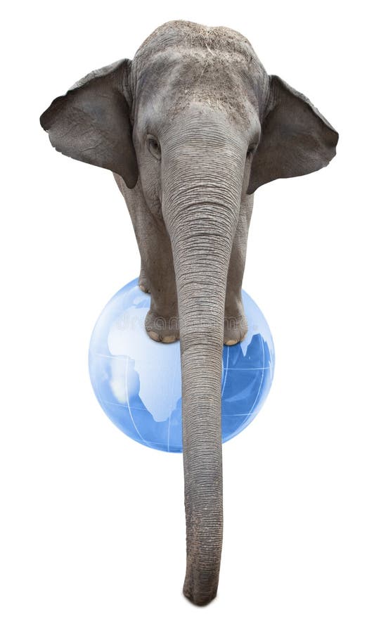 Circus elephant balancing on a big bluel globe isolated on white background. Circus elephant balancing on a big bluel globe isolated on white background