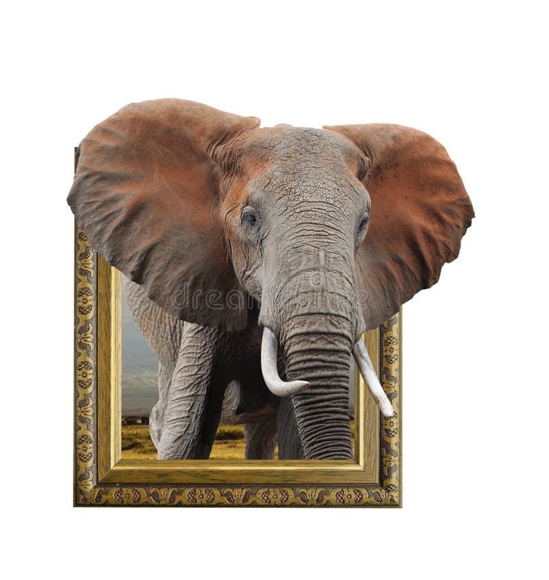Elefante En Marco Con El Efecto 3d Foto de archivo - Imagen de