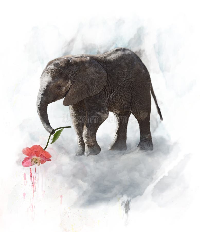 Elefante joven libre illustration Elefante joven libre illustration