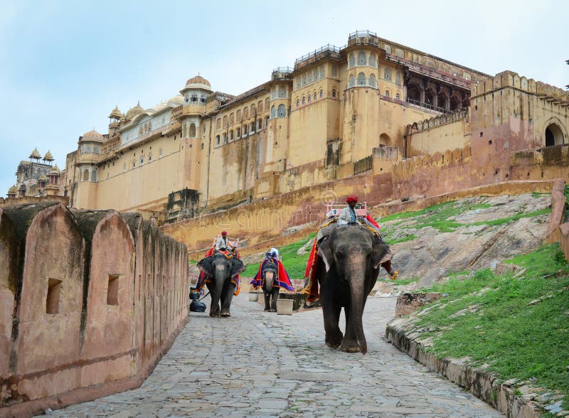 Elephants at Amber Fort in Jaipur, India. Elephants at Amber Fort in Jaipur, India.