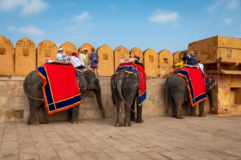 Elephant riders dismount in the main courtyard in the Amber, Fort Amer , Rajasthan, India. A narrow 4WD road leads up to the entrance gate, known as the Suraj Pol (Sun Gate) of the fort. It is now considered much more ethical for tourists to take jeep rides up to the fort, instead of riding the elephants. Amer Fort or Amber Fort is a fort located in Amer, Rajasthan, India. Amer is a town with an area of 4 square kilometres (1.5 sq mi) located 11 kilometres (6.8 mi) from Jaipur, the capital of Rajasthan. Located high on a hill, it is the principal tourist attraction in Jaipur. Amer Fort is known for its artistic style elements. With its large ramparts and series of gates and cobbled paths, the fort overlooks Maota Lake which is the main source of water for the Amer Palace. Elephant riders dismount in the main courtyard in the Amber, Fort Amer , Rajasthan, India. A narrow 4WD road leads up to the entrance gate, known as the Suraj Pol (Sun Gate) of the fort. It is now considered much more ethical for tourists to take jeep rides up to the fort, instead of riding the elephants. Amer Fort or Amber Fort is a fort located in Amer, Rajasthan, India. Amer is a town with an area of 4 square kilometres (1.5 sq mi) located 11 kilometres (6.8 mi) from Jaipur, the capital of Rajasthan. Located high on a hill, it is the principal tourist attraction in Jaipur. Amer Fort is known for its artistic style elements. With its large ramparts and series of gates and cobbled paths, the fort overlooks Maota Lake which is the main source of water for the Amer Palace.