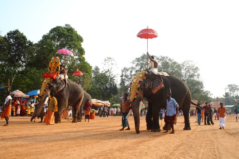 Elefantes em Festival fotografia de stock
