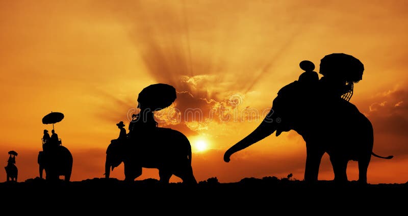 elefantsilhouette thailand royaltyfria bilder elefantsilhouette thailand royaltyfria bilder