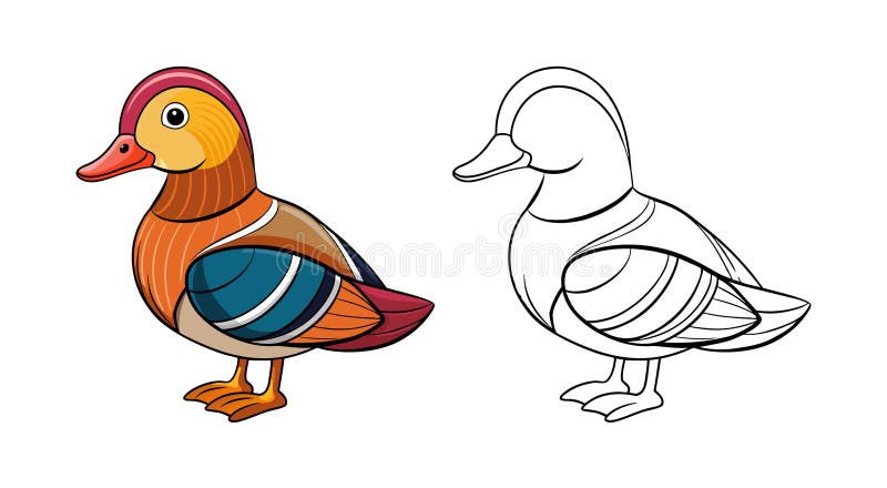 Elegancki wektor kaczki mandaryńskiej ilustracji