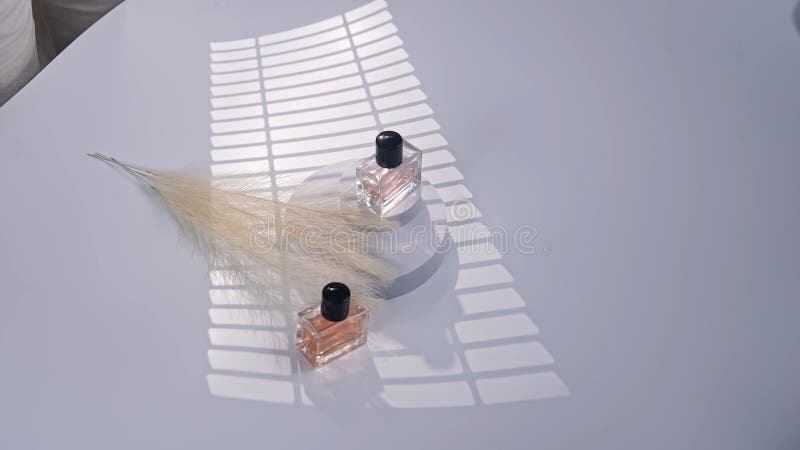 Eleganckie Butelki Perfum z Pampas Grass i miękkie cienie obrazy stock