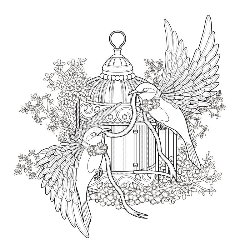 Elegant bird coloring page royalty free illustration Elegant bird coloring page royalty free illustration