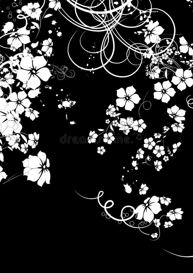 elegant black and white swirls